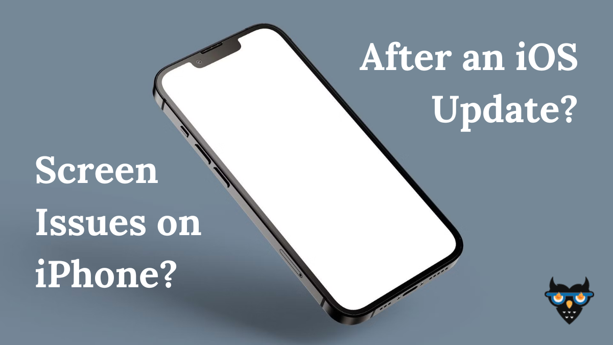 Screen Issues After iOS Updates